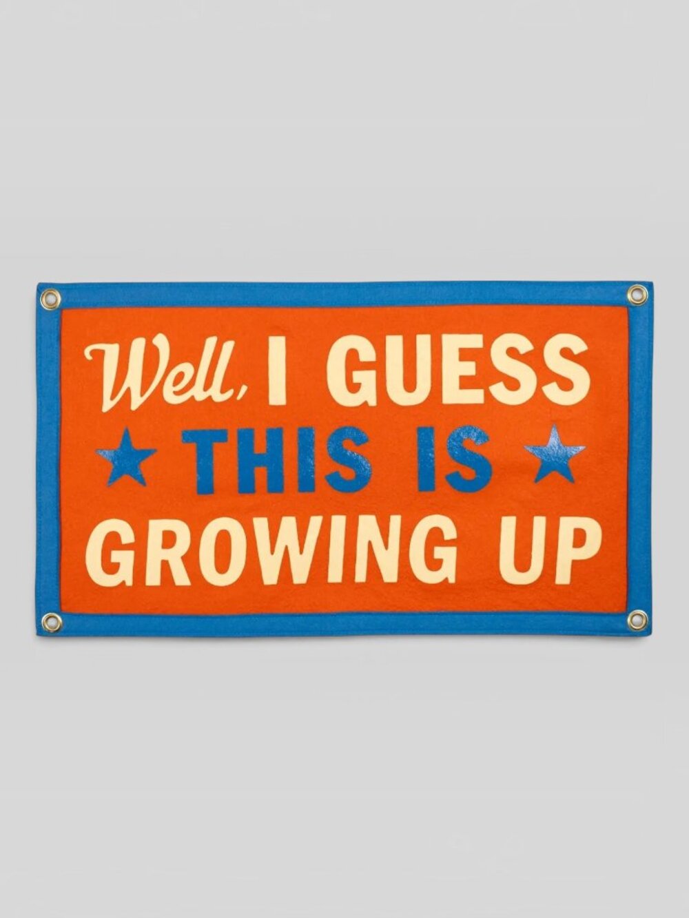 Oxford Pennant Well I Guess This Is Growing Up Felt Wall Banner Flag NWT